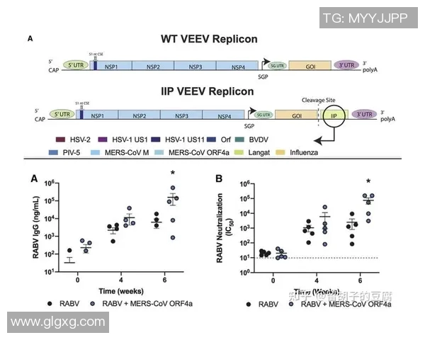 探索Bin上单位输出的优化策略与应用前景分析