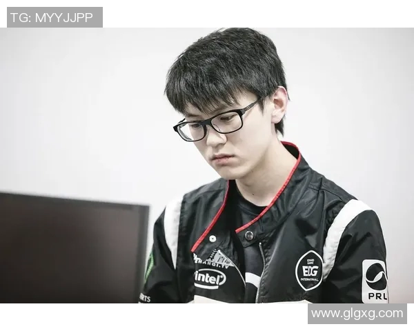 Meiko抗伤策略解析与实战技巧分享助你在游戏中立于不败之地